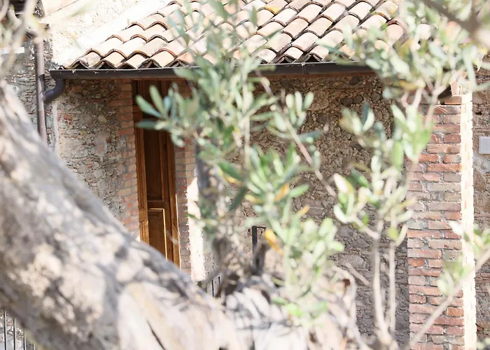 Casa de hóspedes Italia 3*